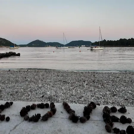 Mali Skoj - Two-bedroom With Sea View Apartament